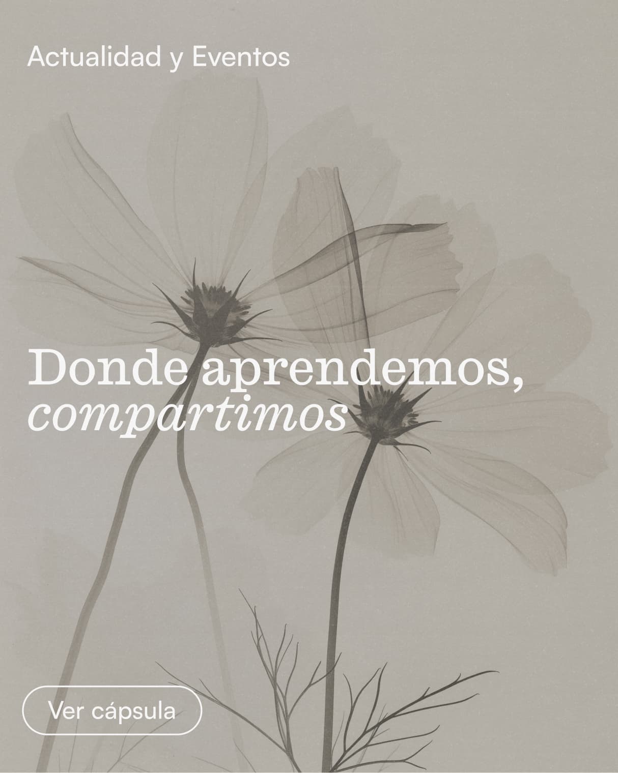 Clinica_Periodontia_Noticias_Capsula_011 