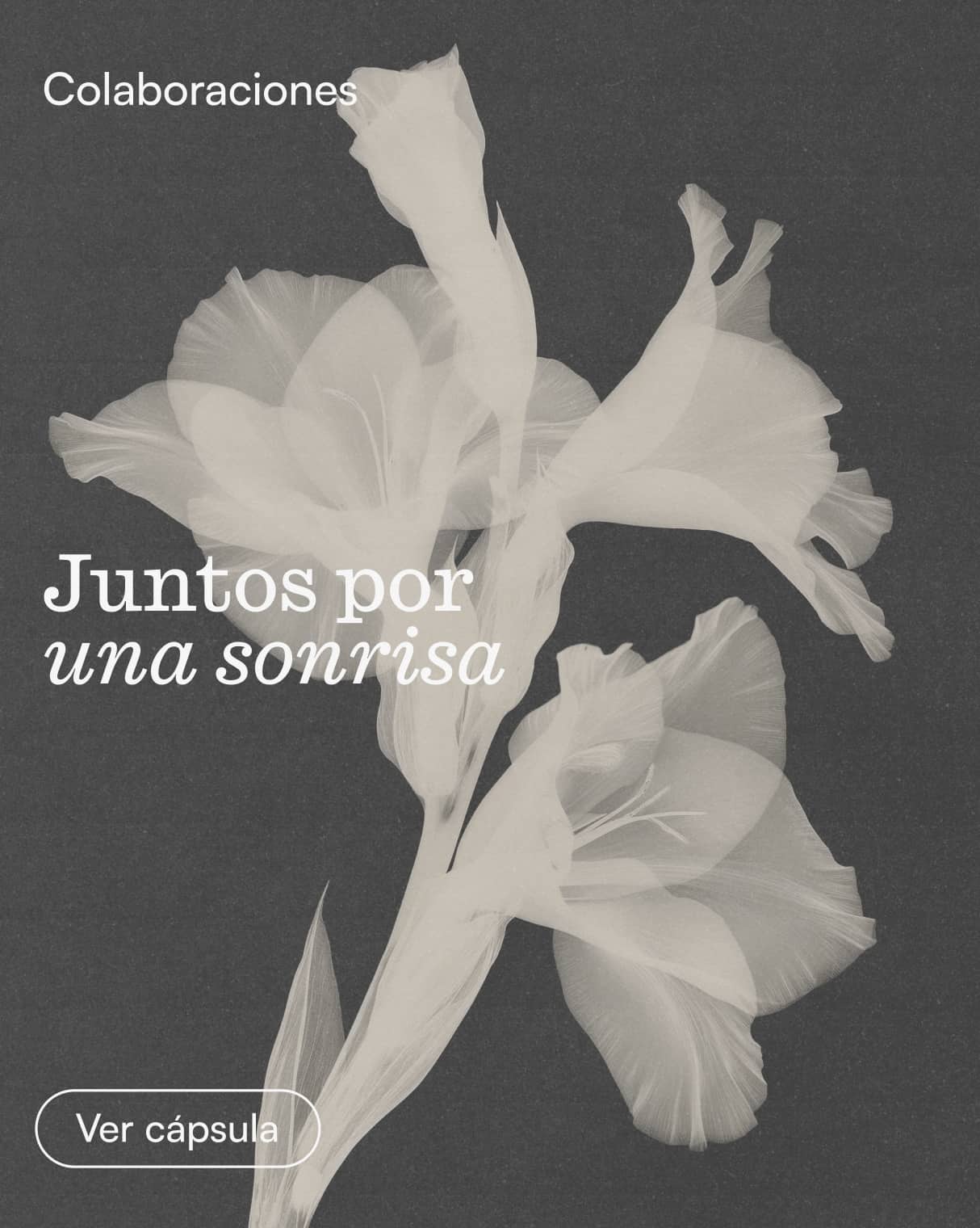 Clinica_Periodontia_Noticias_Capsula_033 