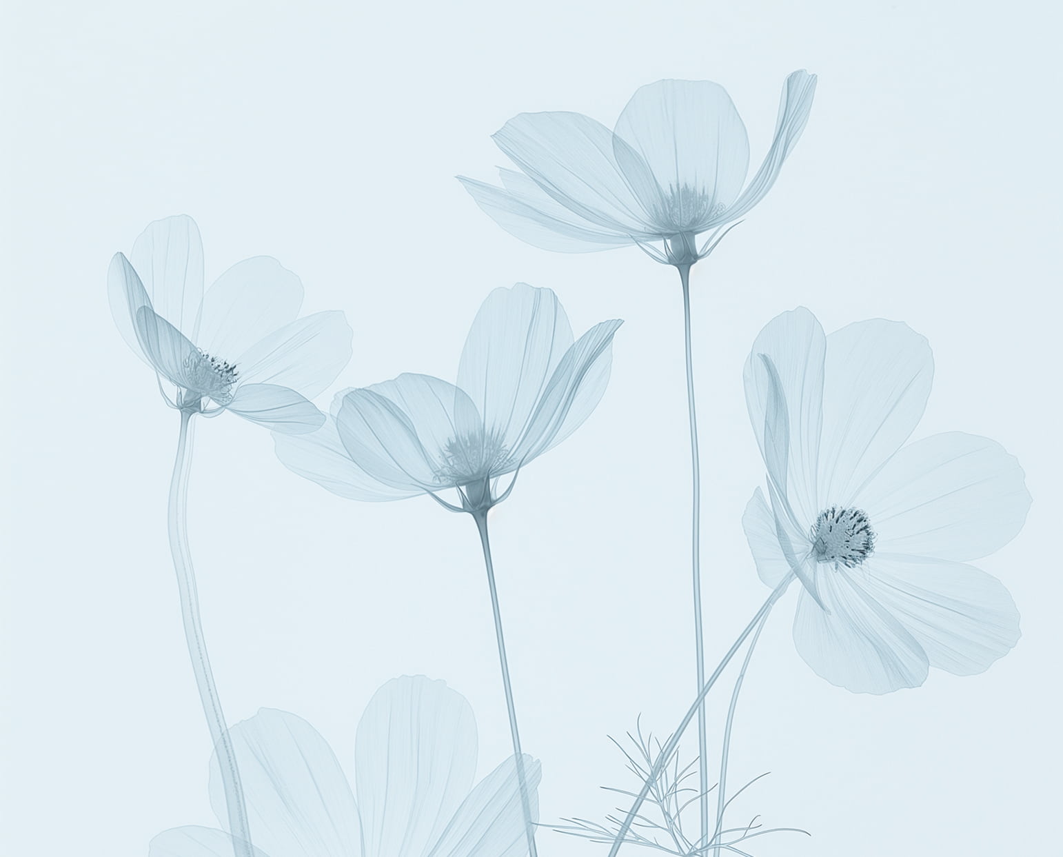 Clinica_Periodontia_Primera_Visita 